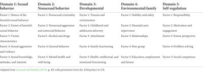 Interrater reliability and experiences of Assessment, Intervention, and Moving-on 3 Assessment Model in a multidisciplinary Norwegian sample